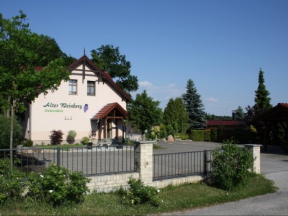 Foto:  “Alter Weinberg"